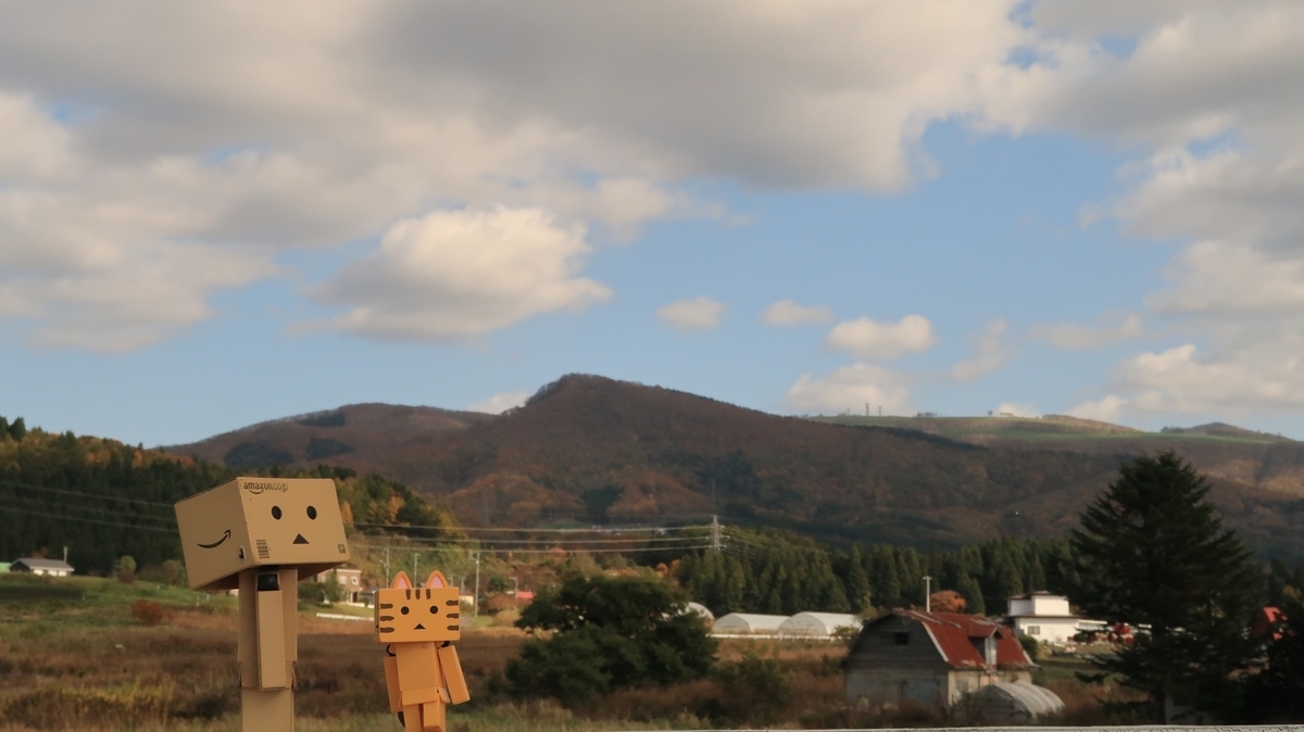 f:id:shirokumapanda:20211221000939j:plain