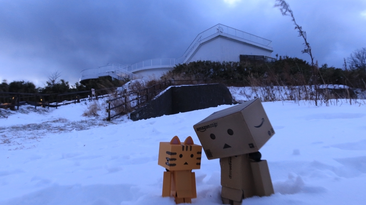 f:id:shirokumapanda:20211231180141j:plain