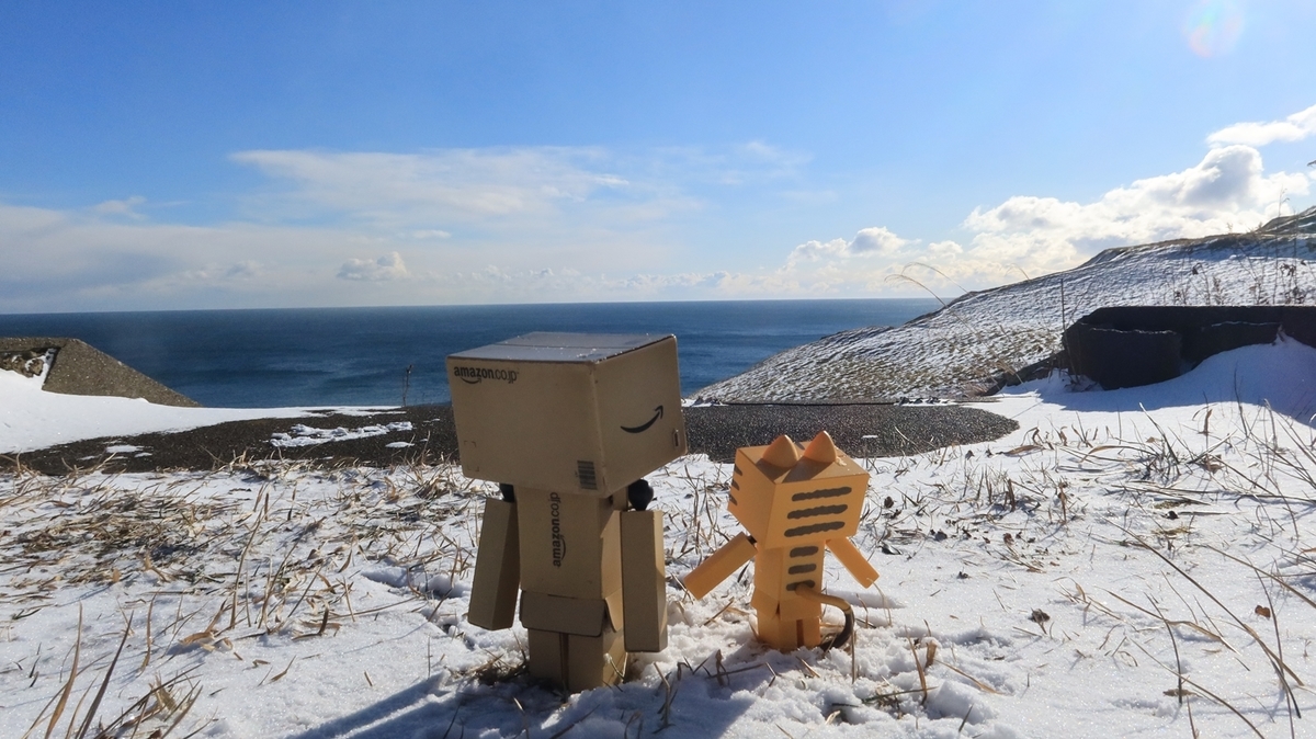f:id:shirokumapanda:20220101172507j:plain