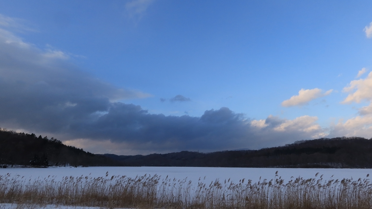 f:id:shirokumapanda:20220110010746j:plain