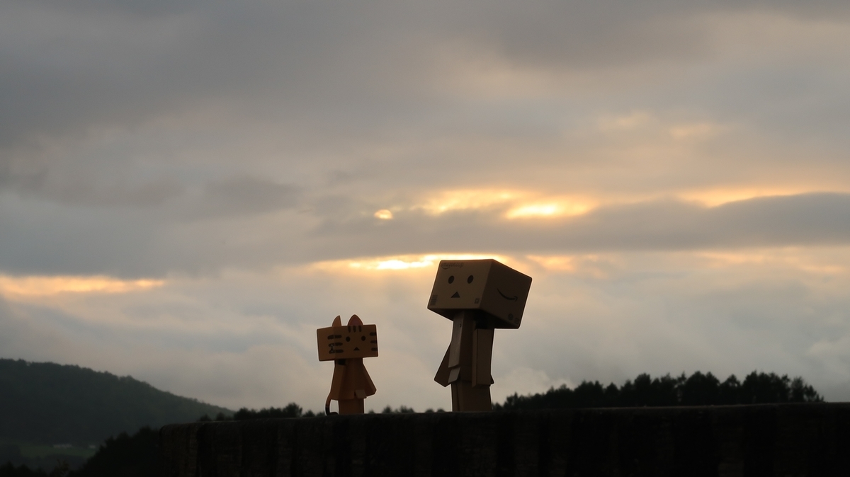 f:id:shirokumapanda:20220130130634j:plain