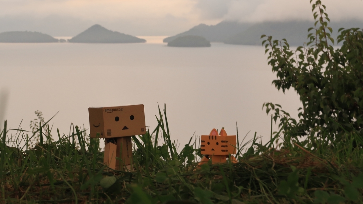 f:id:shirokumapanda:20220130130639j:plain