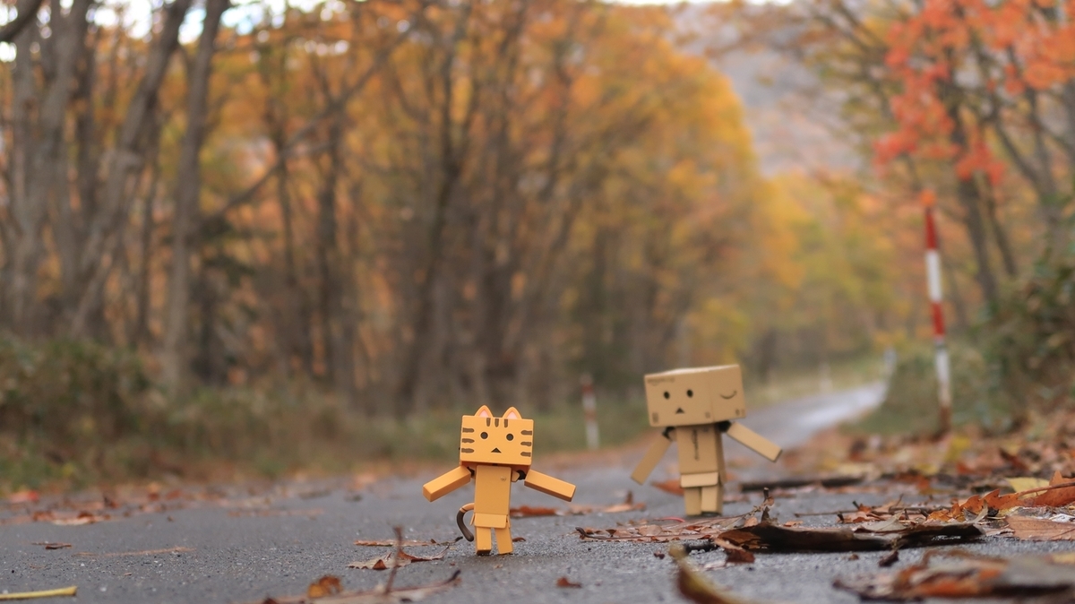 f:id:shirokumapanda:20220204005552j:plain