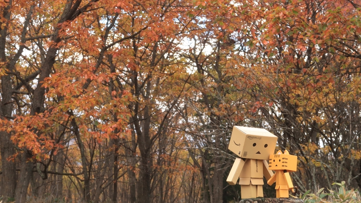 f:id:shirokumapanda:20220204005624j:plain