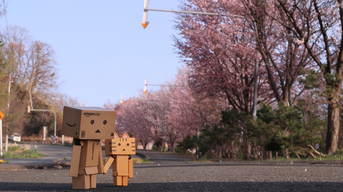 f:id:shirokumapanda:20220401233242j:plain