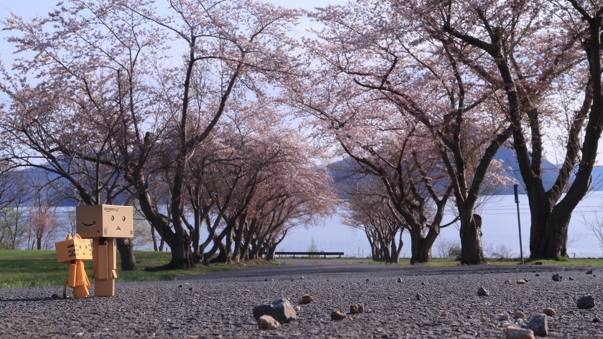 f:id:shirokumapanda:20220406004008j:plain