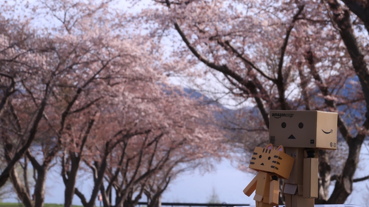 f:id:shirokumapanda:20220406004013j:plain