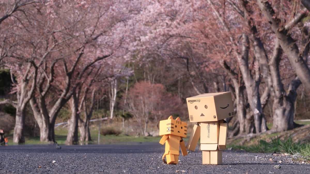 f:id:shirokumapanda:20220406004101j:plain