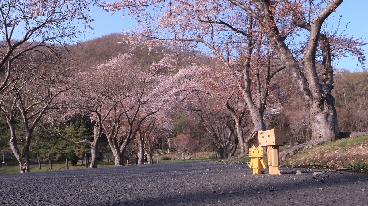 f:id:shirokumapanda:20220406004112j:plain