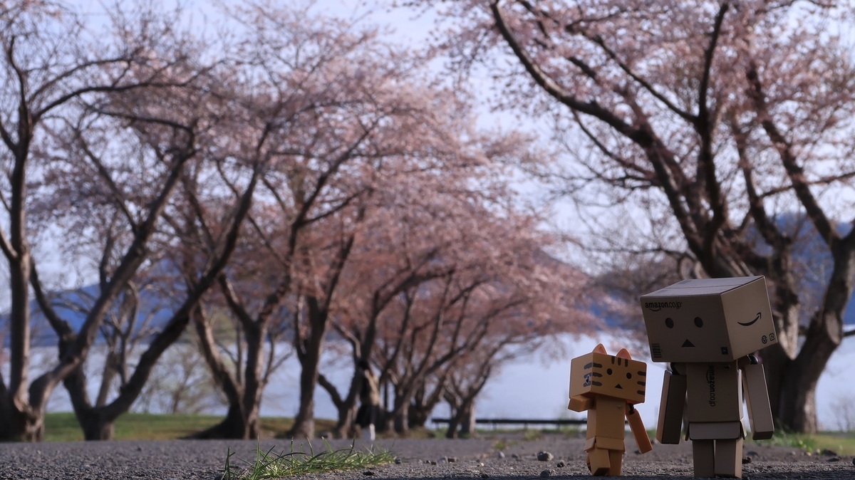f:id:shirokumapanda:20220406004123j:plain