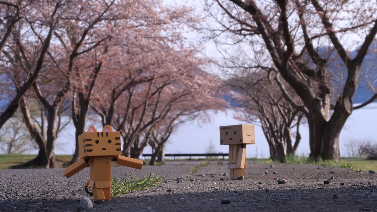 f:id:shirokumapanda:20220406004128j:plain