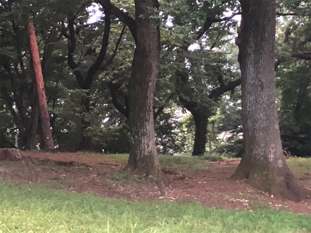 ほんとにあった 呪いの撮影場所