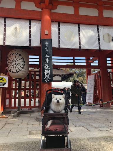 f:id:shirokun0806:20180307100543j:image f:id:shirokun0806:20180307100543j:image