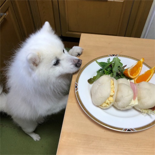 f:id:shirokun0806:20180311211530j:image f:id:shirokun0806:20180311211530j:image