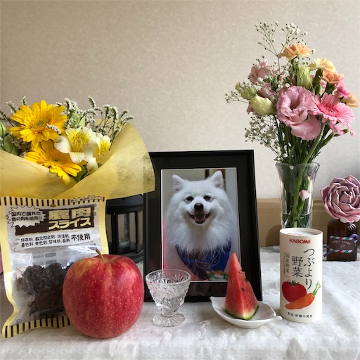 f:id:shirokun0806:20190601163327j:image f:id:shirokun0806:20190601163327j:image