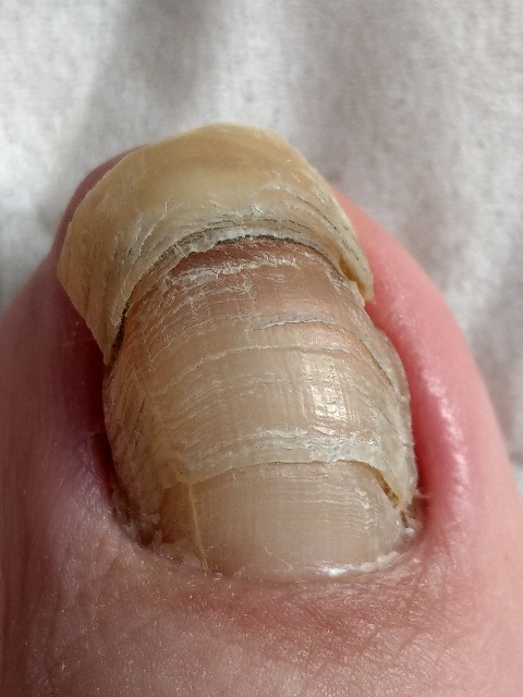 f:id:shirokurox:20220528162701j:image