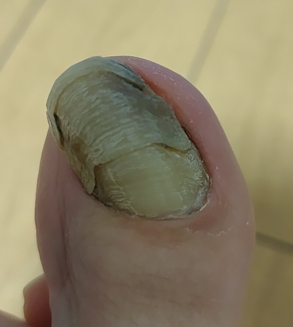 f:id:shirokurox:20220528163943j:image