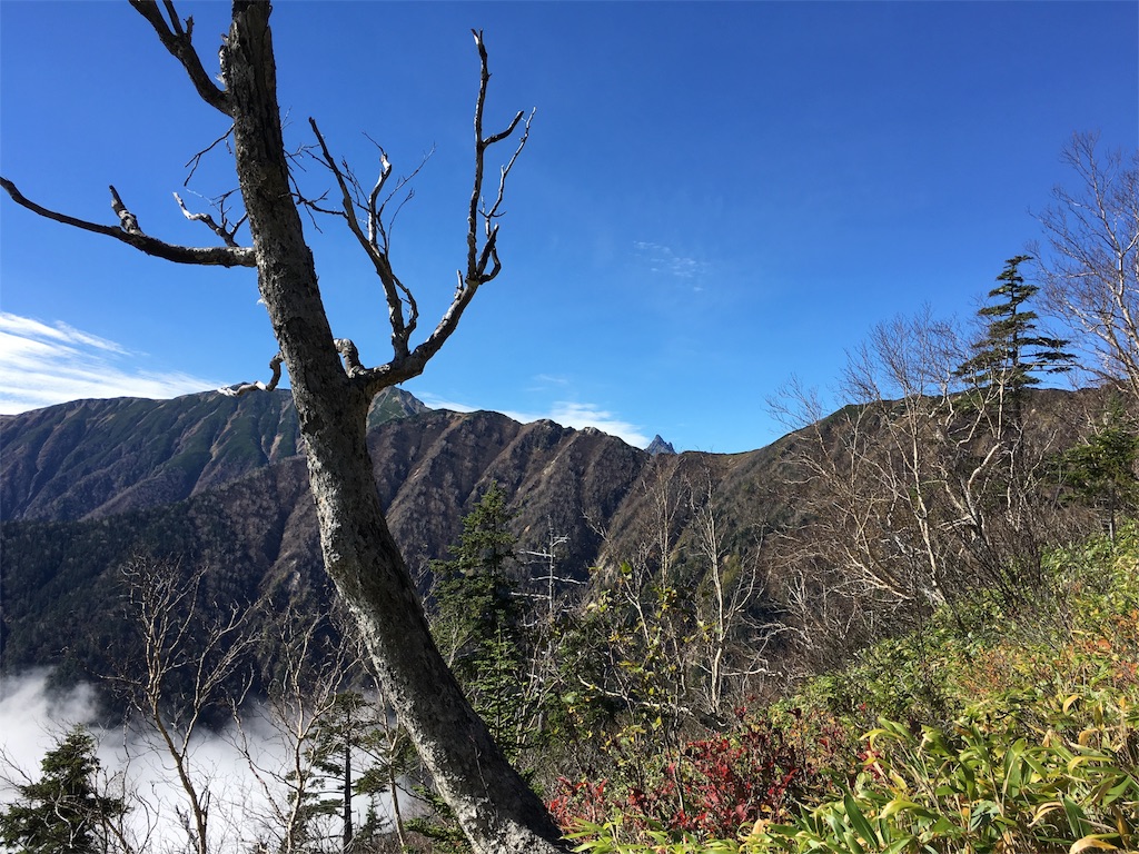 f:id:shiromuzu:20161013231445j:image f:id:shiromuzu:20161013231445j:image