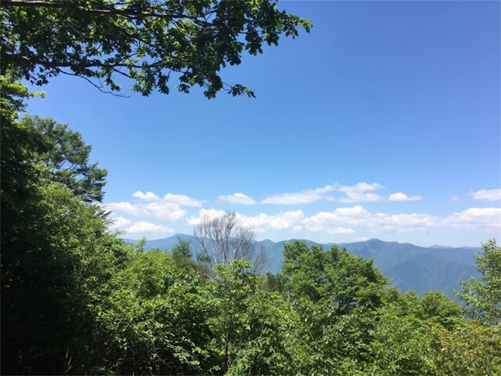 f:id:shiromuzu:20180703210529j:image f:id:shiromuzu:20180703210529j:image