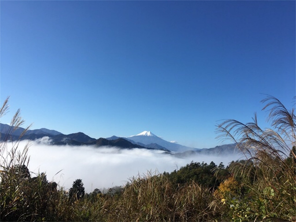 f:id:shiromuzu:20181114154502j:image f:id:shiromuzu:20181114154502j:image