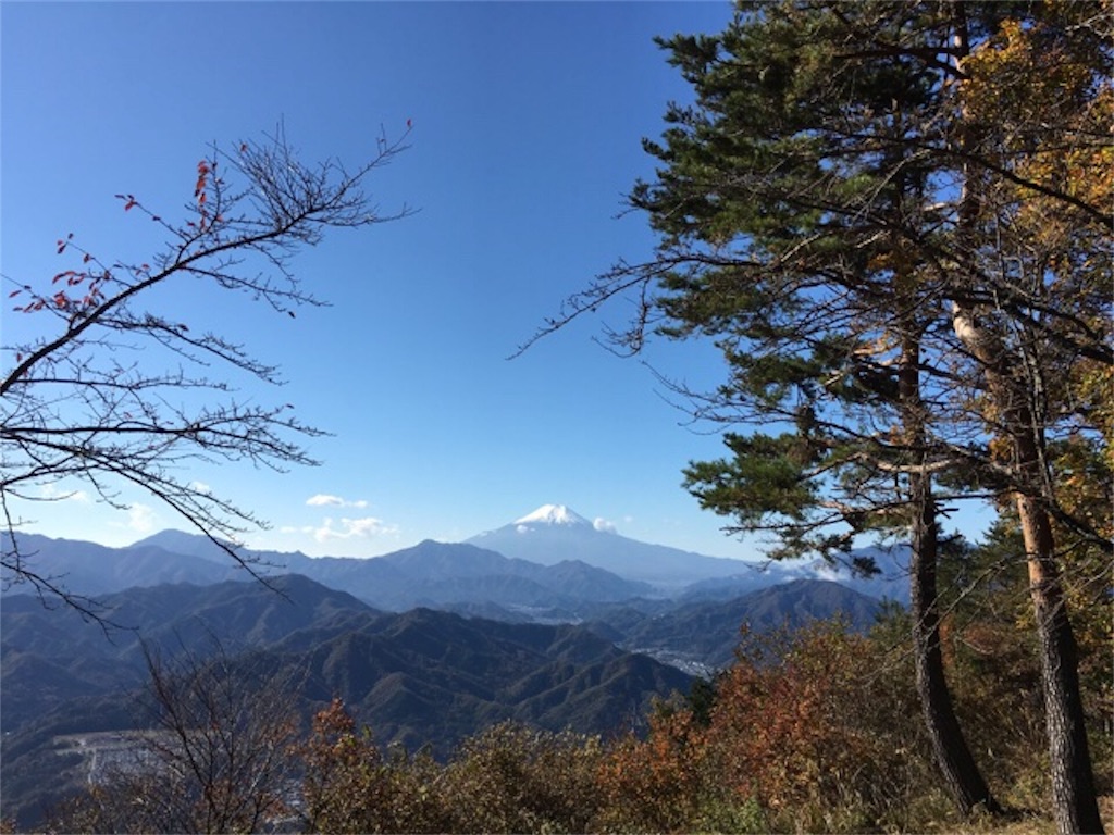 f:id:shiromuzu:20181114154550j:image f:id:shiromuzu:20181114154550j:image