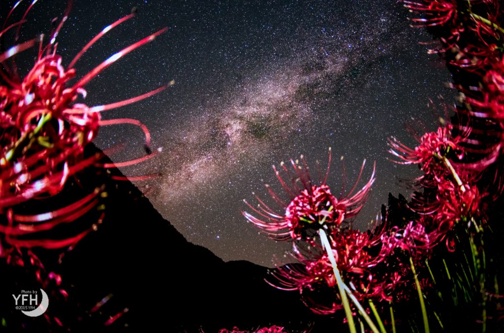 f:id:shironagassu:20171003214856j:plain