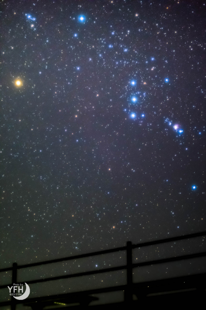 星空ページ X線と赤外線で観測された「わし星雲」の“創造の柱” チャンドラの