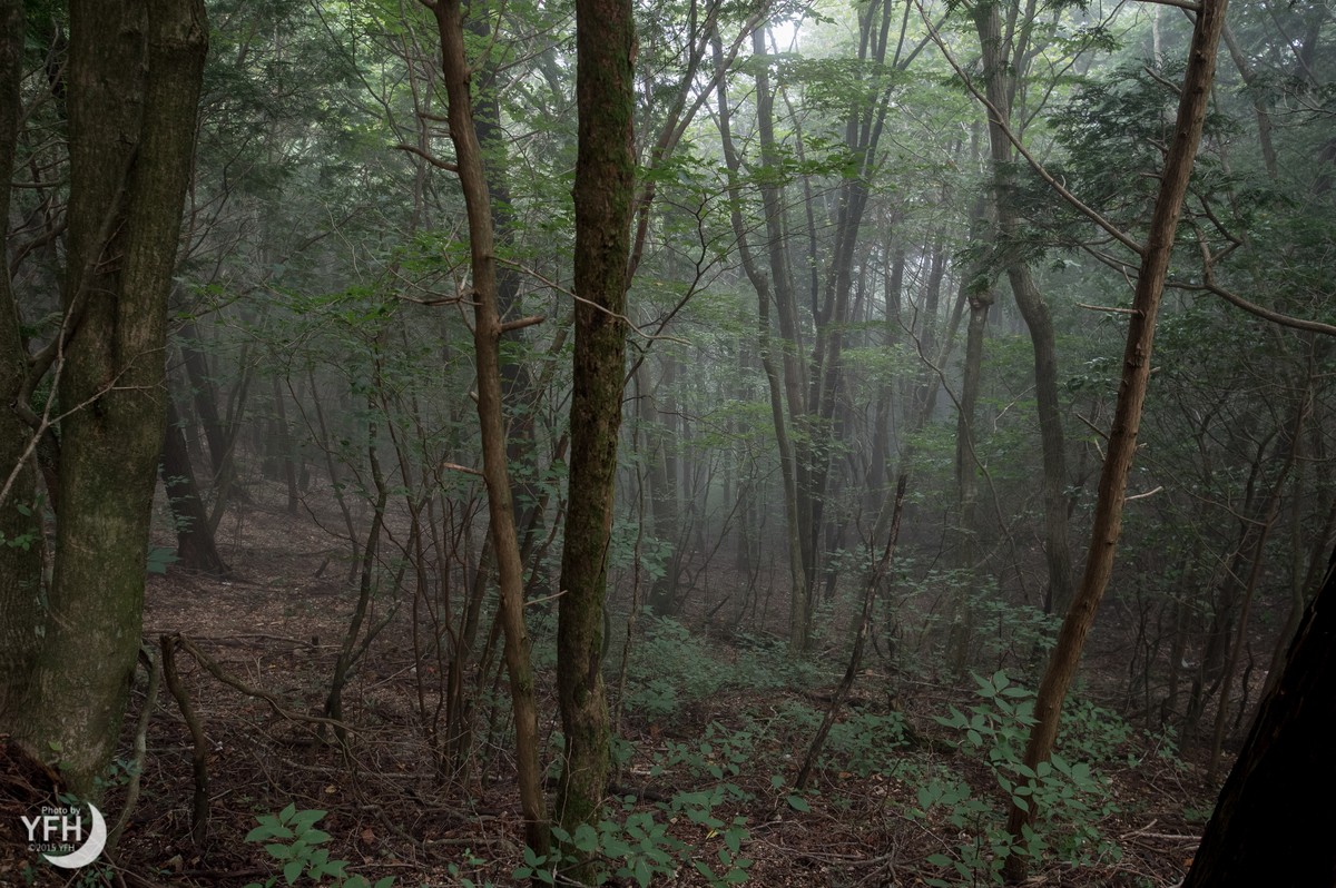 f:id:shironagassu:20190906202445j:plain