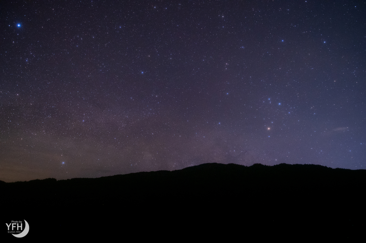 マルチボーダーシリーズ LEE ソフトフィルター 5番のみ 1枚 | www