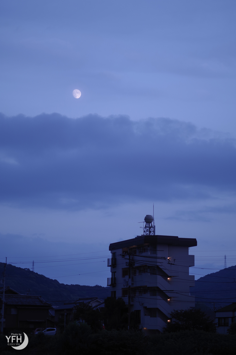 f:id:shironagassu:20200831191131j:plain