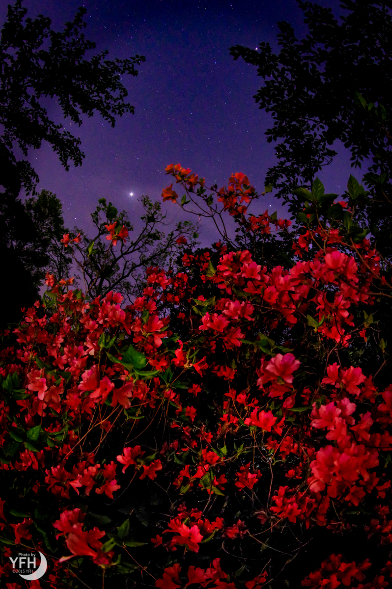 f:id:shironagassu:20200906230533j:plain f:id:shironagassu:20200906230533j:plain