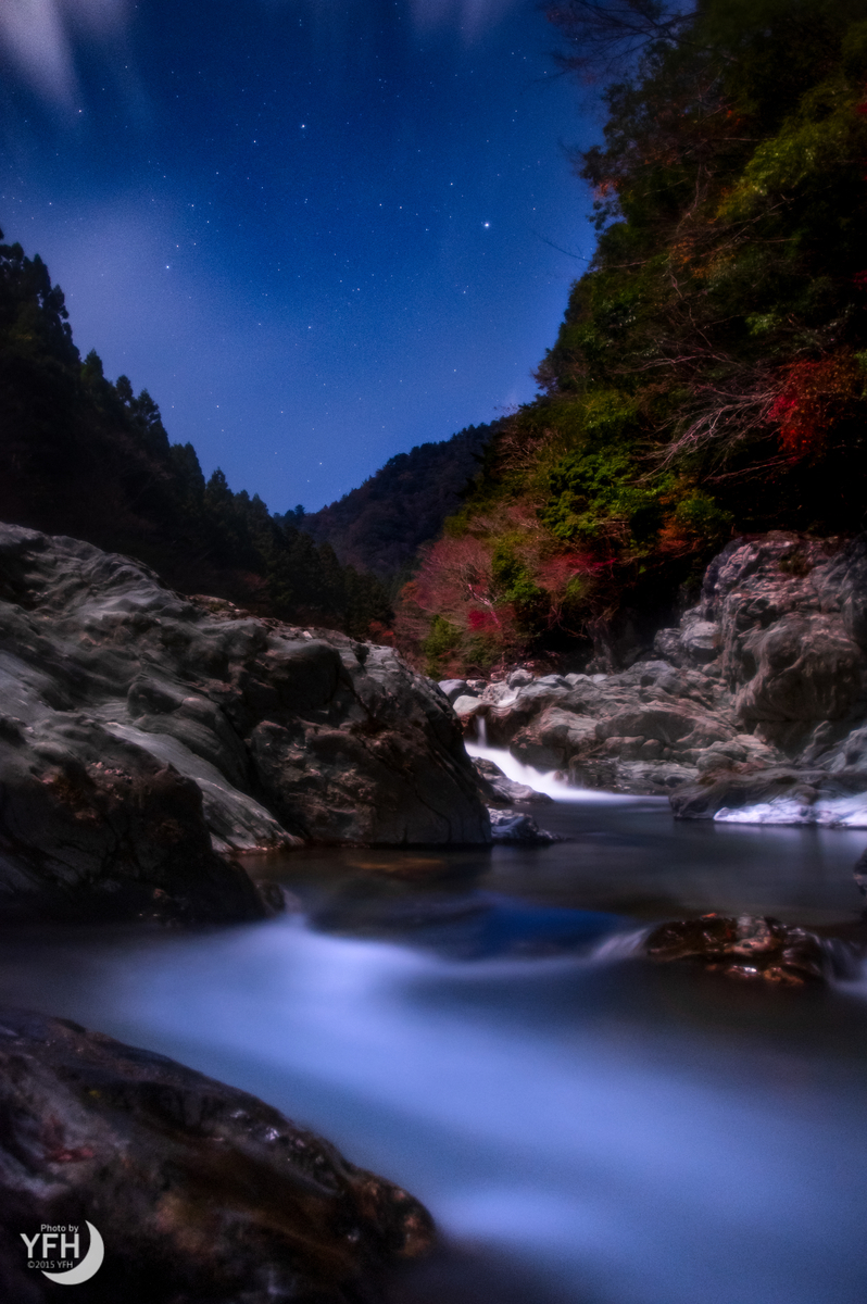 f:id:shironagassu:20200906230646j:plain f:id:shironagassu:20200906230646j:plain