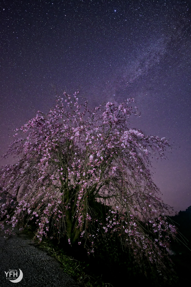 f:id:shironagassu:20200906231035j:plain f:id:shironagassu:20200906231035j:plain
