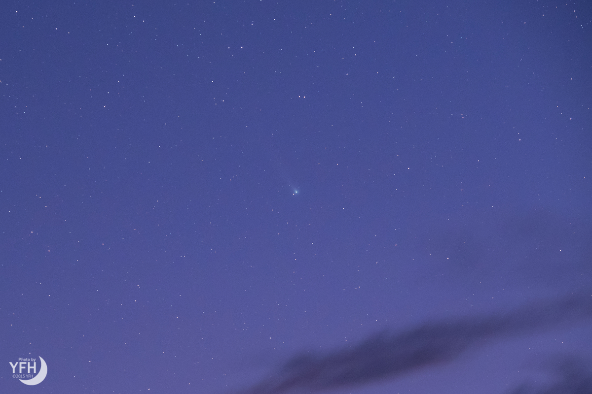 f:id:shironagassu:20211212214436j:plain