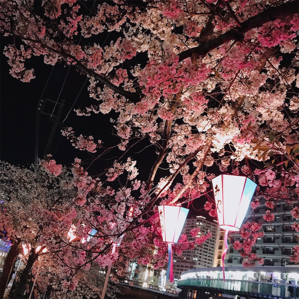 f:id:shirosmile:20191026140439j:image f:id:shirosmile:20191026140439j:image