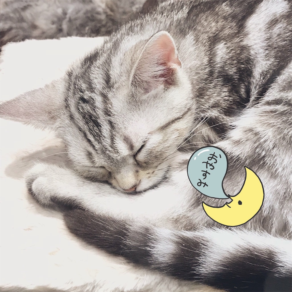 f:id:shirosmile:20191026140459j:image f:id:shirosmile:20191026140459j:image