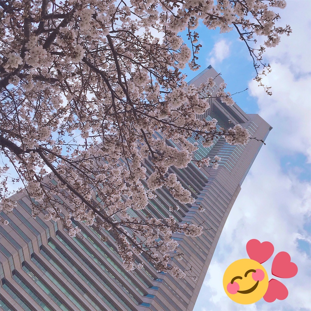 f:id:shirosmile:20191026140519j:image f:id:shirosmile:20191026140519j:image