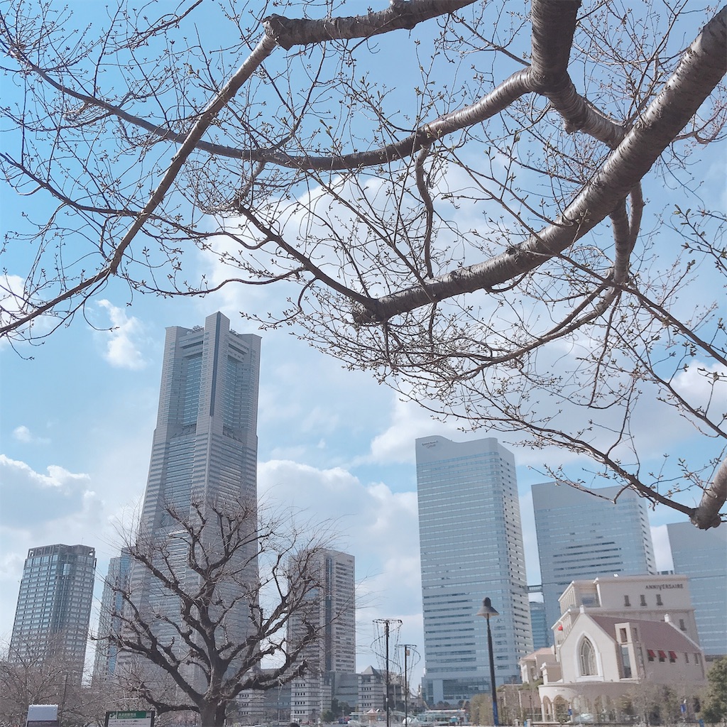 f:id:shirosmile:20191026140546j:image f:id:shirosmile:20191026140546j:image