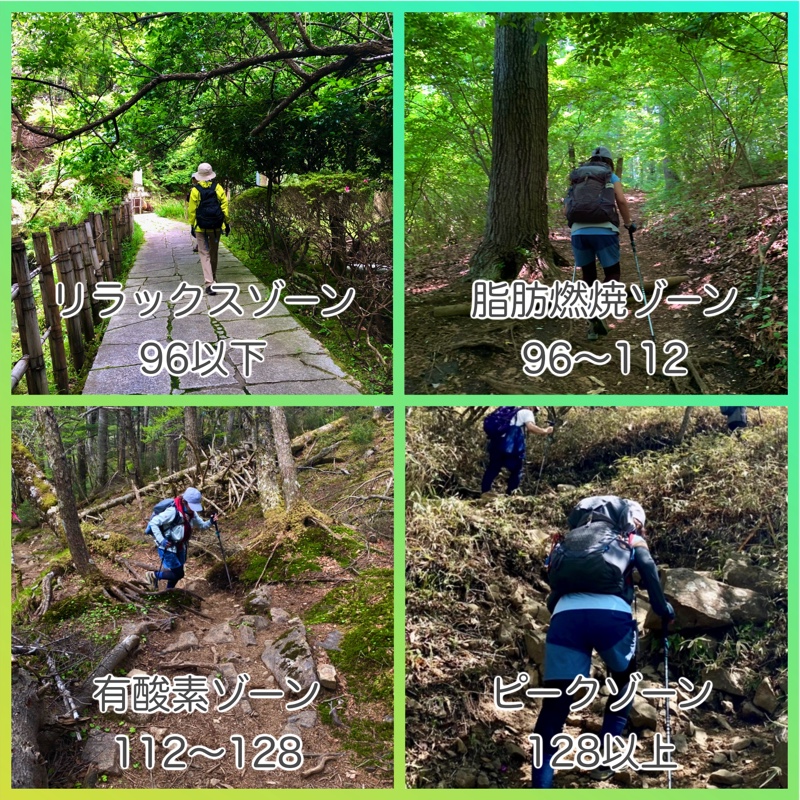 f:id:shirota24:20210611161043j:plain