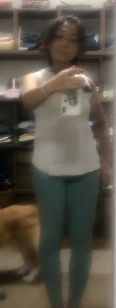 f:id:shirota24:20220108224807j:plain