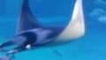 20250602014537