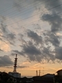 20250602014639