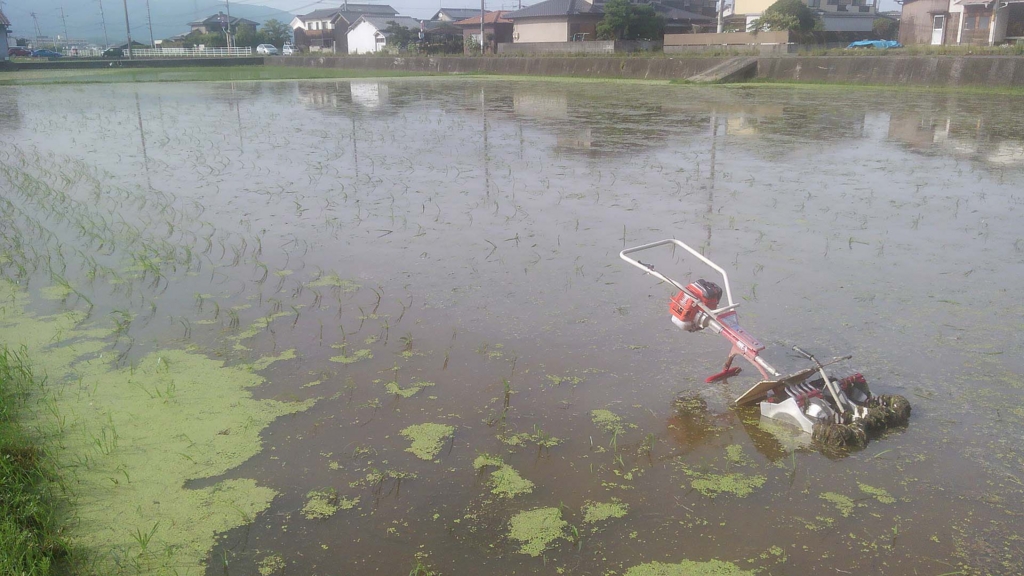 f:id:shirotofarm:20150712233111j:plain f:id:shirotofarm:20150712233111j:plain