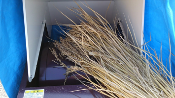 f:id:shirotofarm:20151213235048p:plain f:id:shirotofarm:20151213235048p:plain
