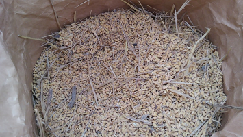 f:id:shirotofarm:20151213235548p:plain f:id:shirotofarm:20151213235548p:plain