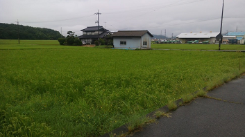 f:id:shirotofarm:20160919203937p:plain f:id:shirotofarm:20160919203937p:plain