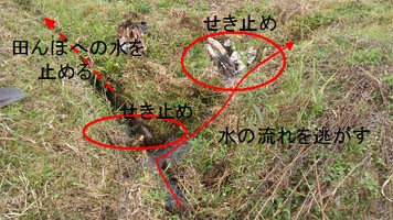 f:id:shirotofarm:20161009193350p:plain f:id:shirotofarm:20161009193350p:plain