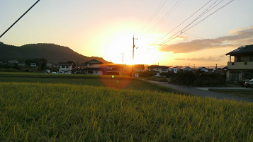 f:id:shirotofarm:20161009200429p:plain f:id:shirotofarm:20161009200429p:plain