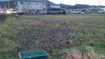 f:id:shirotofarm:20161123223041p:plain f:id:shirotofarm:20161123223041p:plain