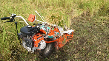 f:id:shirotofarm:20171022104125p:plain